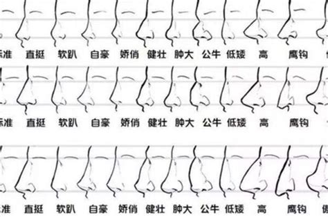 福鼻 面相|相学最有福气的7种鼻子 面相中最有福气的7种鼻子